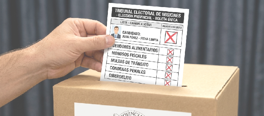 Puerto Libertad declar&oacute; de Inter&eacute;s Municipal el proyecto provincial de "Ficha Limpia"